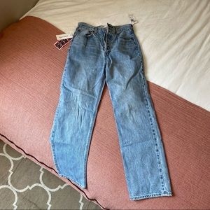 Aritzia Denim Forum Joni High Rise Jean Size 24W
